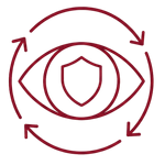 Oversight & Adaptation​